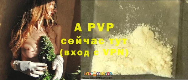 сатива Алзамай