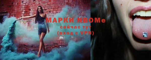 шишки Алексин