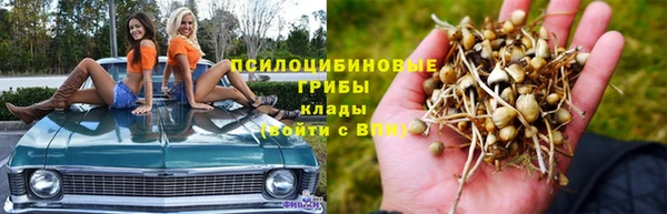 сатива Алзамай