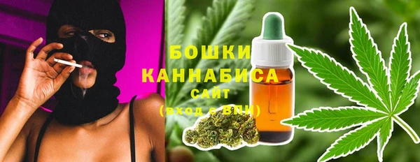 сатива Алзамай