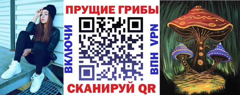 Псилоцибиновые грибы прущие грибы  Шадринск 